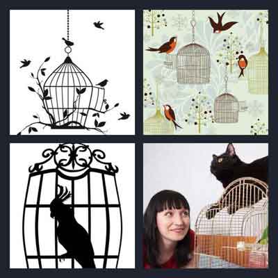 4-pics-1-word-birdcage
