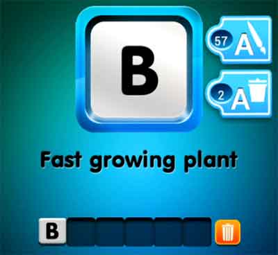 clue bamboo answer growing fast plant starts letter