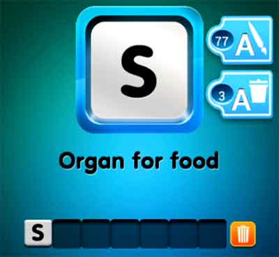 one-clue-organ-for-food