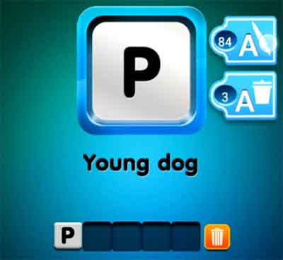 one-clue-young-dog