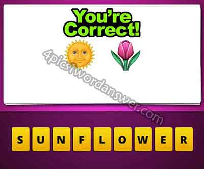 emoji-sun-and-flower