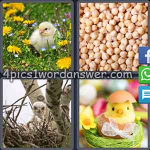 4-pics-1-word-daily-puzzle-march-16-2018