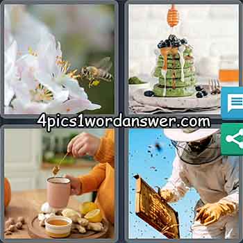4-pics-1-word-daily-puzzle-february-3-2021