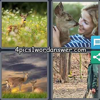 4-pics-1-word-daily-puzzle-march-10-2021