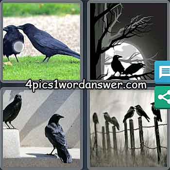 4-pics-1-word-daily-puzzle-march-4-2021