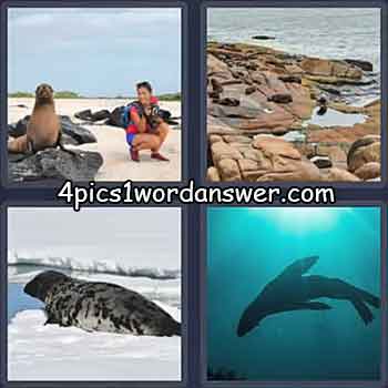 4-pics-1-word-daily-puzzle-june-22-2021