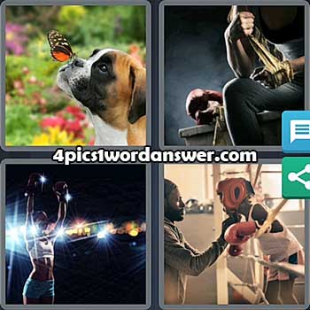 4-pics-1-word-daily-puzzle-july-15-2021