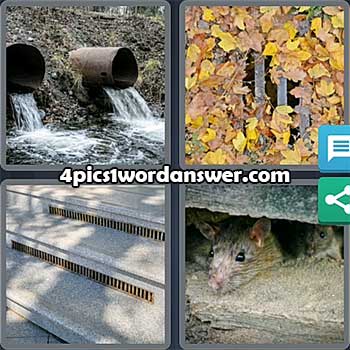 4-pics-1-word-daily-puzzle-august-24-2021
