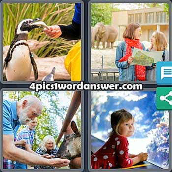 4-pics-1-word-daily-puzzle-august-4-2021