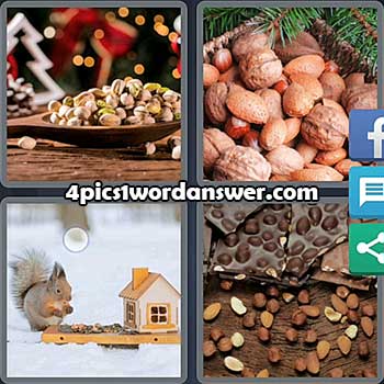 4-pics-1-word-daily-puzzle-december-10-2021