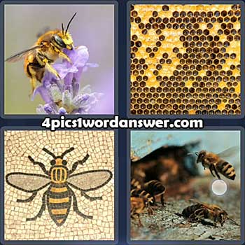 4-pics-1-word-daily-puzzle-february-4-2022