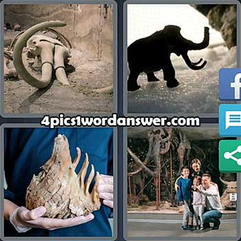 4-pics-1-word-daily-puzzle-january-8-2022