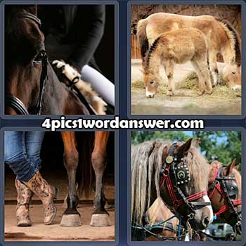 4-pics-1-word-daily-puzzle-february-9-2022