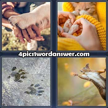 4-pics-1-word-daily-puzzle-february-14-2022