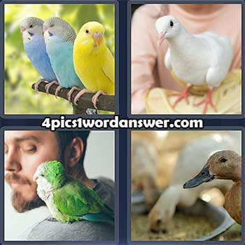 4-pics-1-word-daily-puzzle-february-20-2022