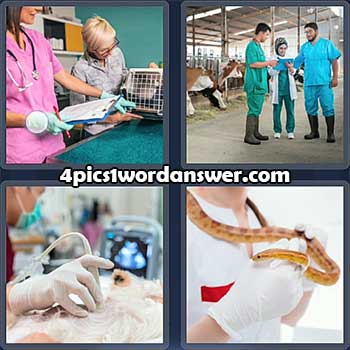 4-pics-1-word-daily-puzzle-february-21-2022