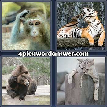 4-pics-1-word-daily-puzzle-february-22-2022