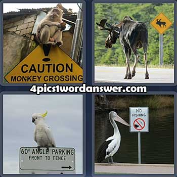 4-pics-1-word-daily-puzzle-february-26-2022