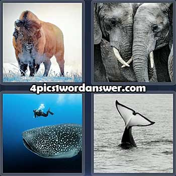 4-pics-1-word-daily-puzzle-february-7-2022