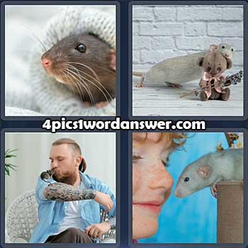 4-pics-1-word-daily-puzzle-february-8-2022