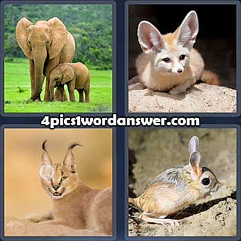 4-pics-1-word-daily-puzzle-february-10-2022