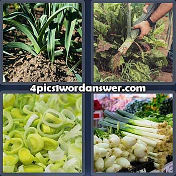 4-pics-1-word-daily-puzzle-april-15-2022