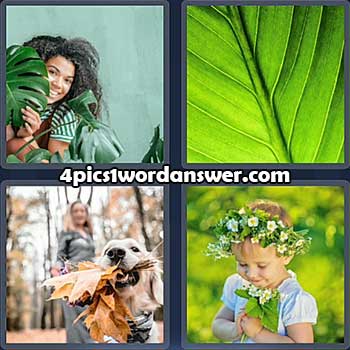 4-pics-1-word-daily-puzzle-april-5-2022