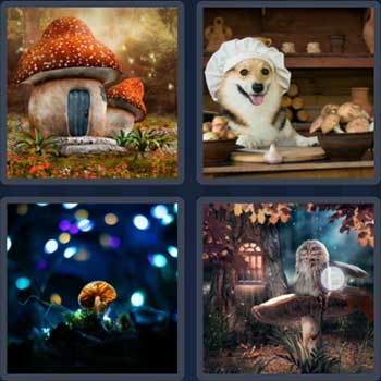 4-pics-1-word-daily-puzzle-june-19-2022