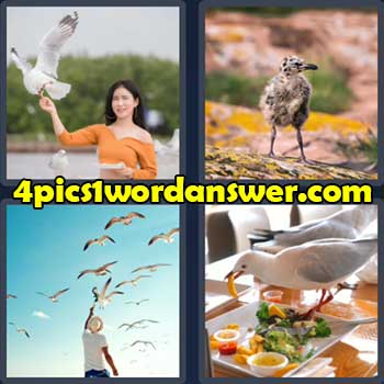 4-pics-1-word-daily-puzzle-july-19-2022