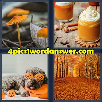 4-pics-1-word-daily-bonus-puzzle-october-11-2022
