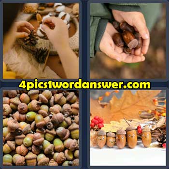 4-pics-1-word-daily-puzzle-october-21-2022