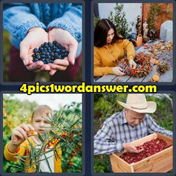 4-pics-1-word-daily-puzzle-october-25-2022