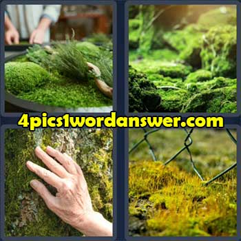4-pics-1-word-daily-puzzle-october-4-2022