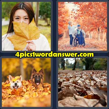 4-pics-1-word-daily-puzzle-october-7-2022