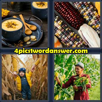 4-pics-1-word-daily-puzzle-october-8-2022