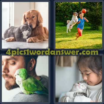 4-pics-1-word-daily-puzzle-february-27-2023