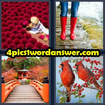 4-pics-1-word-daily-puzzle-march-3-2023