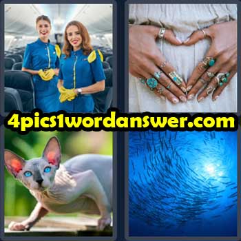 4-pics-1-word-daily-puzzle-march-15-2023