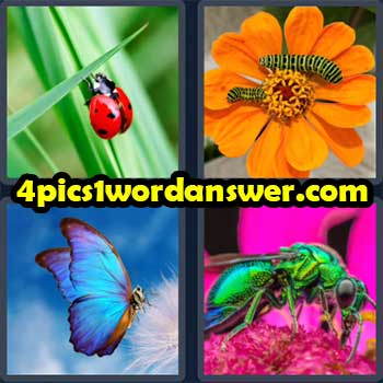 4-pics-1-word-daily-puzzle-march-16-2023