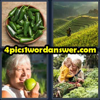 4-pics-1-word-daily-puzzle-march-17-2023