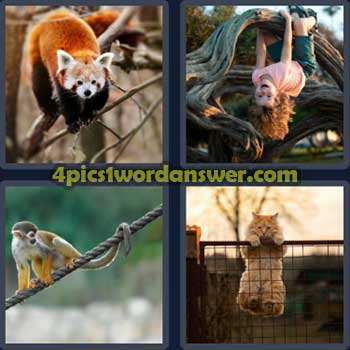 4-pics-1-word-daily-bonus-puzzle-april-20-2023