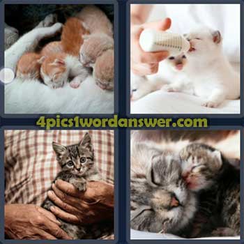 4-pics-1-word-daily-puzzle-april-2-2023