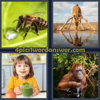 4-pics-1-word-daily-puzzle-april-22-2023