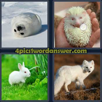 4-pics-1-word-daily-puzzle-april-26-2023