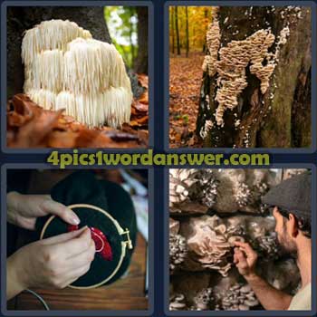4-pics-1-word-daily-puzzle-october-5-2023