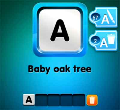 one-clue-baby-oak-tree