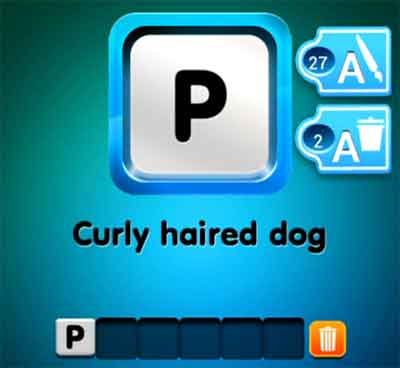 one-clue-curly-haired-dog