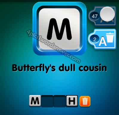 one-clue-butterflys-dull-cousin