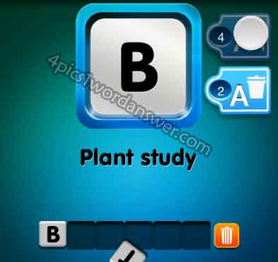 one-clue-plant-study