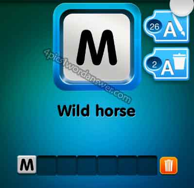 one-clue-wild-horse